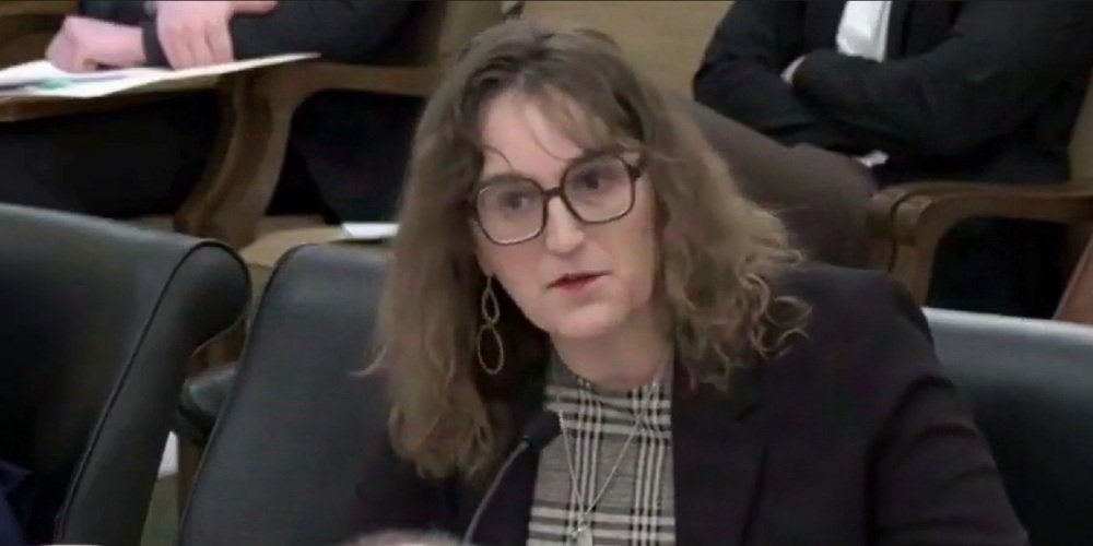 Democrat Leigh Finke